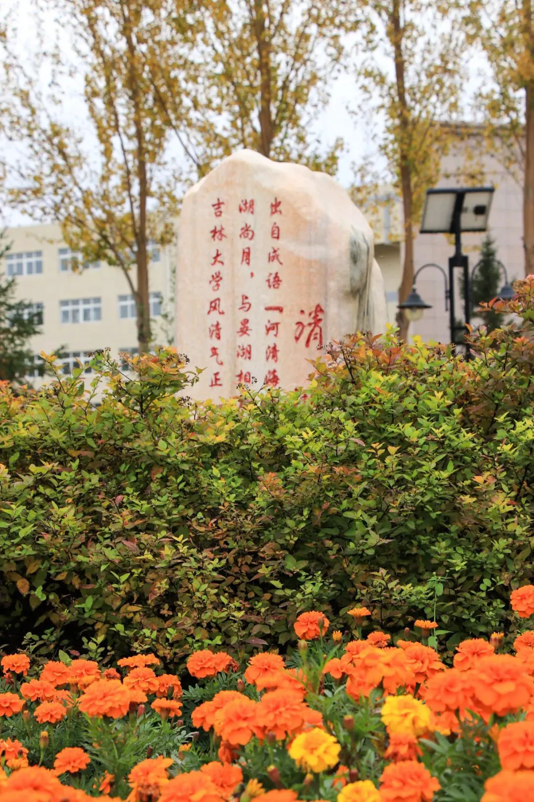 如何利用力量训练提高篮球运动员的弹跳力?_0